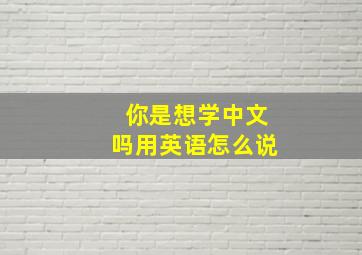 你是想学中文吗用英语怎么说