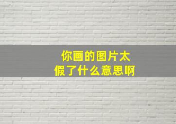 你画的图片太假了什么意思啊