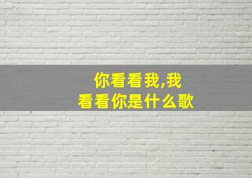 你看看我,我看看你是什么歌