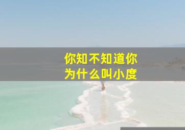 你知不知道你为什么叫小度