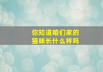 你知道咱们家的猫咪长什么样吗