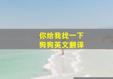 你给我找一下狗狗英文翻译