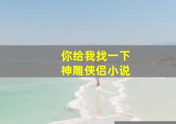 你给我找一下神雕侠侣小说