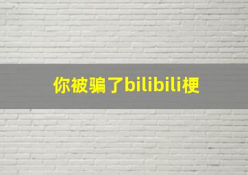 你被骗了bilibili梗