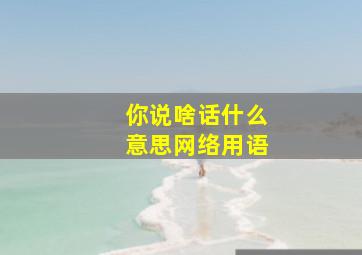 你说啥话什么意思网络用语