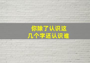 你除了认识这几个字还认识谁