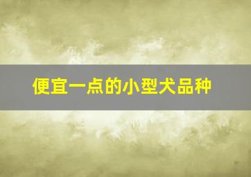 便宜一点的小型犬品种