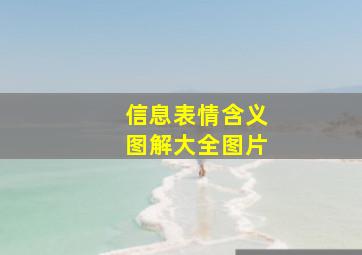 信息表情含义图解大全图片