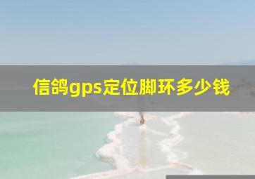 信鸽gps定位脚环多少钱