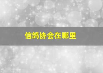 信鸽协会在哪里