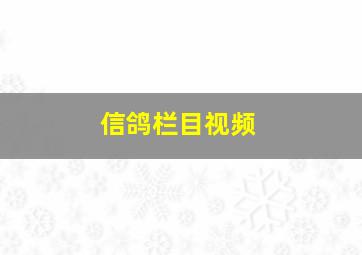 信鸽栏目视频