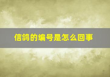 信鸽的编号是怎么回事