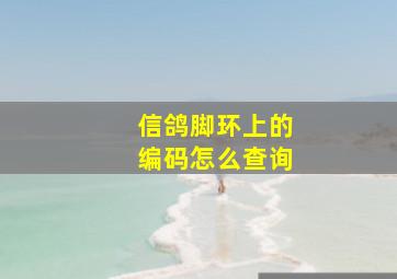 信鸽脚环上的编码怎么查询