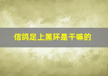 信鸽足上黑环是干嘛的