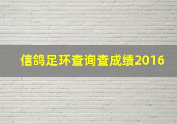 信鸽足环查询查成绩2016