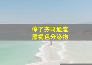 停了芬吗通流黑褐色分泌物