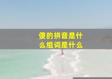 傻的拼音是什么组词是什么