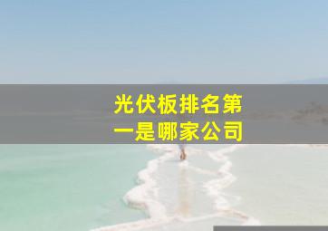 光伏板排名第一是哪家公司