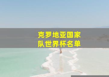 克罗地亚国家队世界杯名单