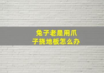 兔子老是用爪子挠地板怎么办