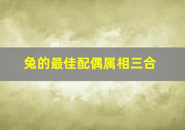 兔的最佳配偶属相三合