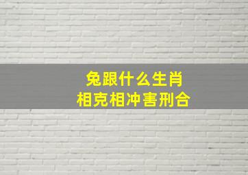 兔跟什么生肖相克相冲害刑合