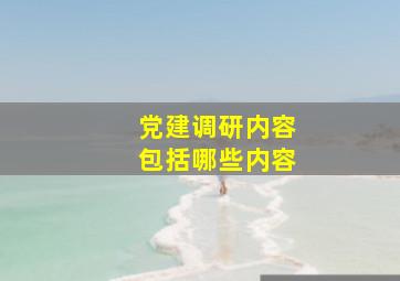 党建调研内容包括哪些内容