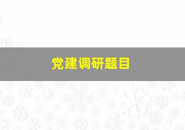 党建调研题目