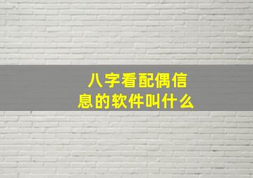 八字看配偶信息的软件叫什么