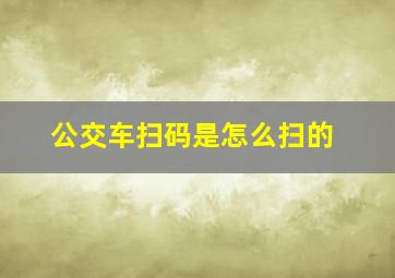 公交车扫码是怎么扫的