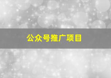 公众号推广项目