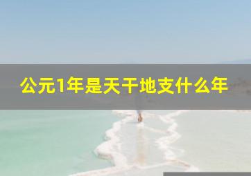 公元1年是天干地支什么年