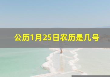 公历1月25日农历是几号