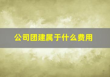 公司团建属于什么费用