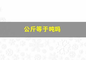 公斤等于吨吗