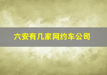 六安有几家网约车公司