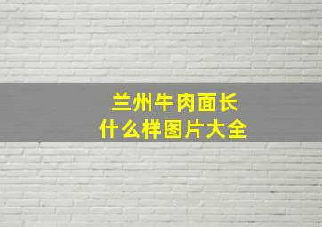 兰州牛肉面长什么样图片大全