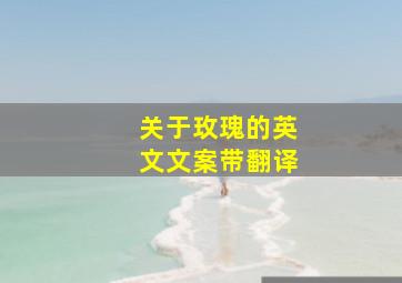 关于玫瑰的英文文案带翻译