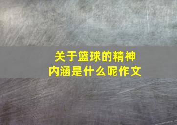 关于篮球的精神内涵是什么呢作文