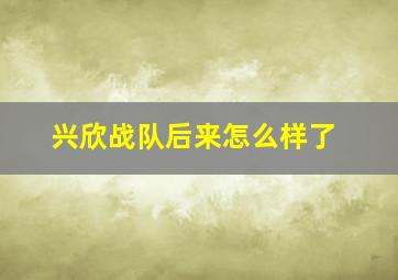 兴欣战队后来怎么样了