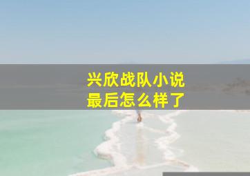 兴欣战队小说最后怎么样了