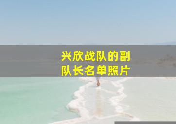 兴欣战队的副队长名单照片