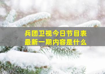 兵团卫视今日节目表最新一期内容是什么