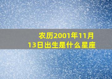 农历2001年11月13日出生是什么星座