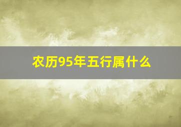 农历95年五行属什么