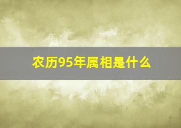 农历95年属相是什么