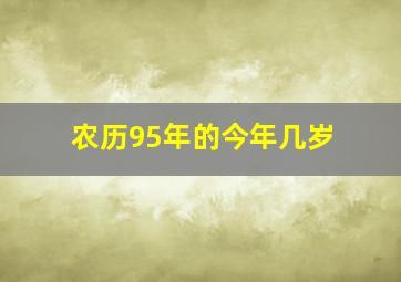 农历95年的今年几岁