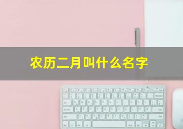 农历二月叫什么名字