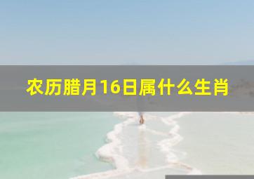 农历腊月16日属什么生肖