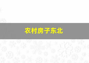 农村房子东北